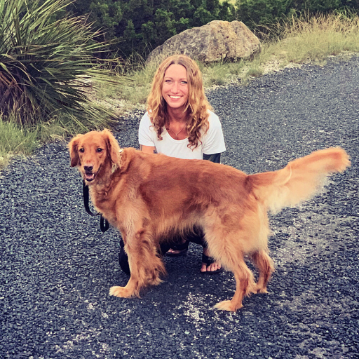 Hill Country Animal Emergency Hospital coming soon image